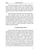 Referāts 'Administratīvās Ministru kabineta funkcijas', 6.