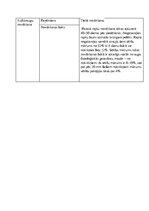 Konspekts 'Kultūrauga plāns - rapsis', 4.