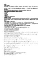 Konspekts 'Starptautiskais tūrisms', 1.