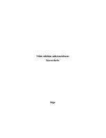 Referāts 'Video reklāma mikroautobusos', 1.