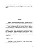 Referāts 'Video reklāma mikroautobusos', 3.