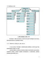 Referāts 'Video reklāma mikroautobusos', 5.