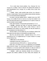 Referāts 'Video reklāma mikroautobusos', 7.