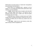 Referāts 'Video reklāma mikroautobusos', 8.