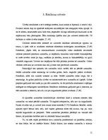 Referāts 'Video reklāma mikroautobusos', 12.