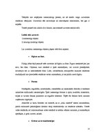 Referāts 'Video reklāma mikroautobusos', 14.