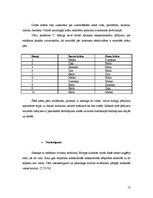 Referāts 'Video reklāma mikroautobusos', 15.