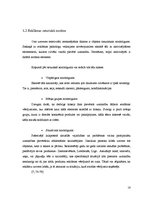 Referāts 'Video reklāma mikroautobusos', 16.