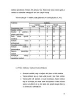 Referāts 'Video reklāma mikroautobusos', 18.