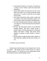 Referāts 'Video reklāma mikroautobusos', 20.