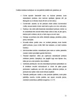 Referāts 'Video reklāma mikroautobusos', 21.