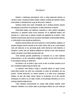 Referāts 'Video reklāma mikroautobusos', 22.