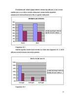 Referāts 'Video reklāma mikroautobusos', 25.