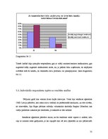 Referāts 'Video reklāma mikroautobusos', 32.