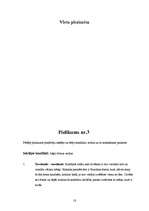 Referāts 'Konfliktsituācijas un to nozīme mūsdienu sabiedrībā', 17.