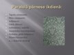Prezentācija 'Ģeometriskie pārveidojumi', 4.