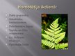 Prezentācija 'Ģeometriskie pārveidojumi', 13.