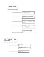 Konspekts 'Tiesiska darījuma forma', 9.