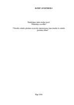 Eseja 'Virtuālo veikalu pārskats un pircēju raksturojums, kam domāts šo veikalu produkt', 1.