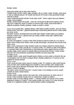 Konspekts 'Romāņu valodas grupa', 1.