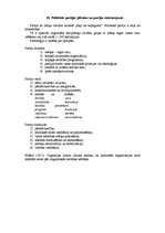 Konspekts 'Politikas eksāmena biļetes', 19.