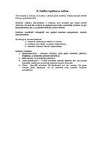 Konspekts 'Politikas eksāmena biļetes', 29.