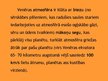 Prezentācija 'Venēra', 6.