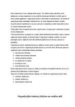 Referāts 'Organizācijas kultūras analīze', 5.