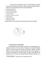 Referāts 'Organizācijas kultūras analīze', 7.