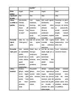 Referāts 'Organizācijas kultūras analīze', 11.