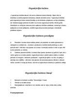 Referāts 'Organizācijas kultūras analīze', 12.