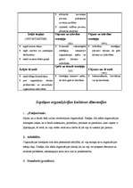 Referāts 'Organizācijas kultūras analīze', 15.