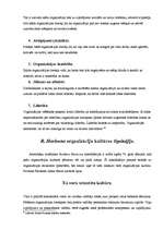 Referāts 'Organizācijas kultūras analīze', 16.