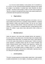 Referāts 'Organizācijas kultūras analīze', 20.