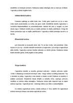 Referāts 'Organizācijas kultūras analīze', 22.