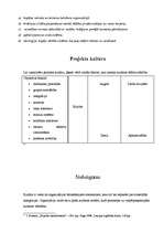 Referāts 'Organizācijas kultūras analīze', 24.