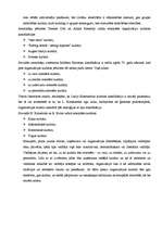 Referāts 'Organizācijas kultūras analīze', 26.