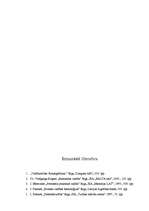 Referāts 'Organizācijas kultūras analīze', 27.