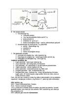 Konspekts 'Mikrobioloģija - antigēns un antiviela', 3.