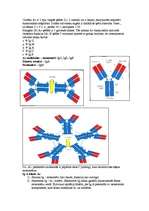 Konspekts 'Mikrobioloģija - antigēns un antiviela', 8.