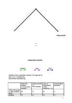 Konspekts 'Attīstības rombi Tuvo Austrumu valstīs ar vidēju ienākumu līmeni', 2.