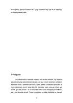 Diplomdarbs 'Neomītiskais Paula Bankovska daiļradē', 72.