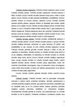 Referāts 'Sociālo zinību pētniecība', 9.