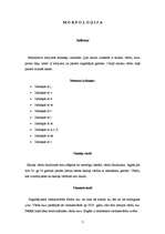 Konspekts 'Krišjānis Ancītis "Aknīstes izloksne"', 7.