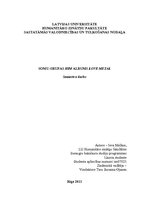 Referāts 'Somu grupas "HIM" albums "Love Metal"', 1.