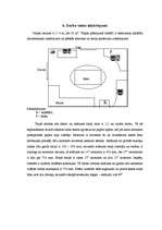 Eseja 'Mans iedomātais birojs', 11.