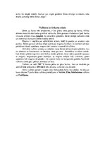 Referāts 'Vulkāni', 7.