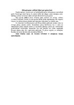 Referāts 'Vulkāni', 8.