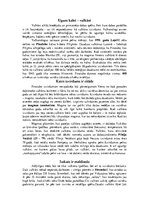 Referāts 'Vulkāni', 9.