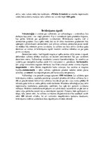 Referāts 'Vulkāni', 10.